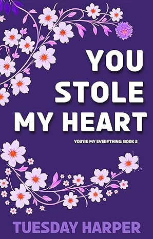 Cover of You Stole My Heart