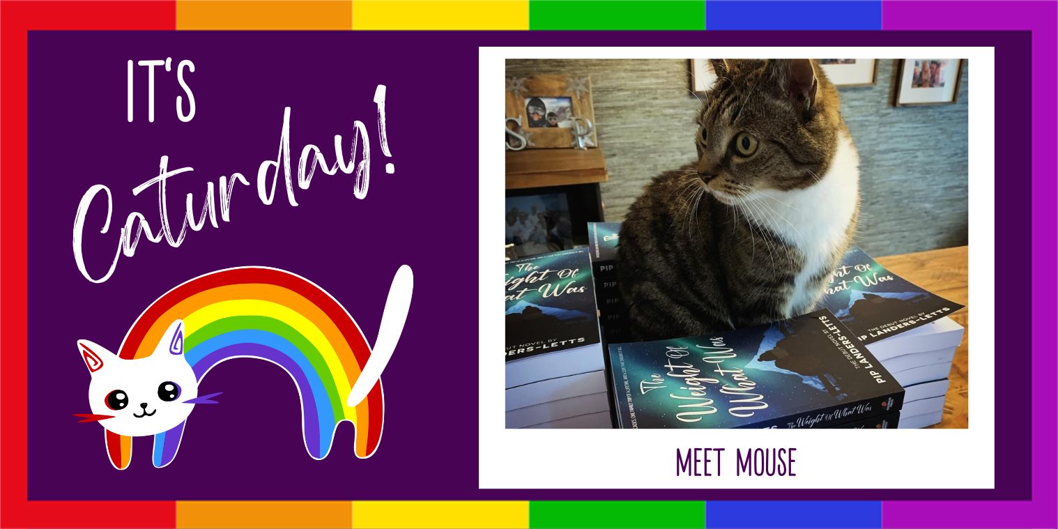 Meet Mouse