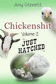 Cover of Chickenshit 2