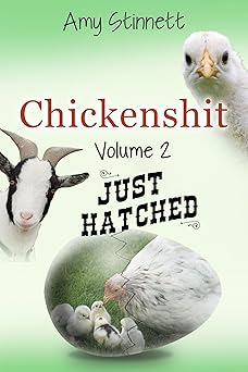 Cover of Chickenshit 2