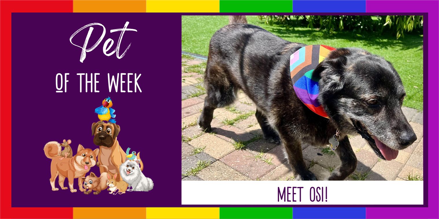 Meet Osi the dog!
