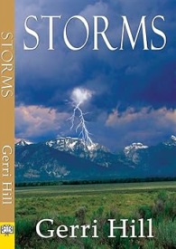 Cover of Storms