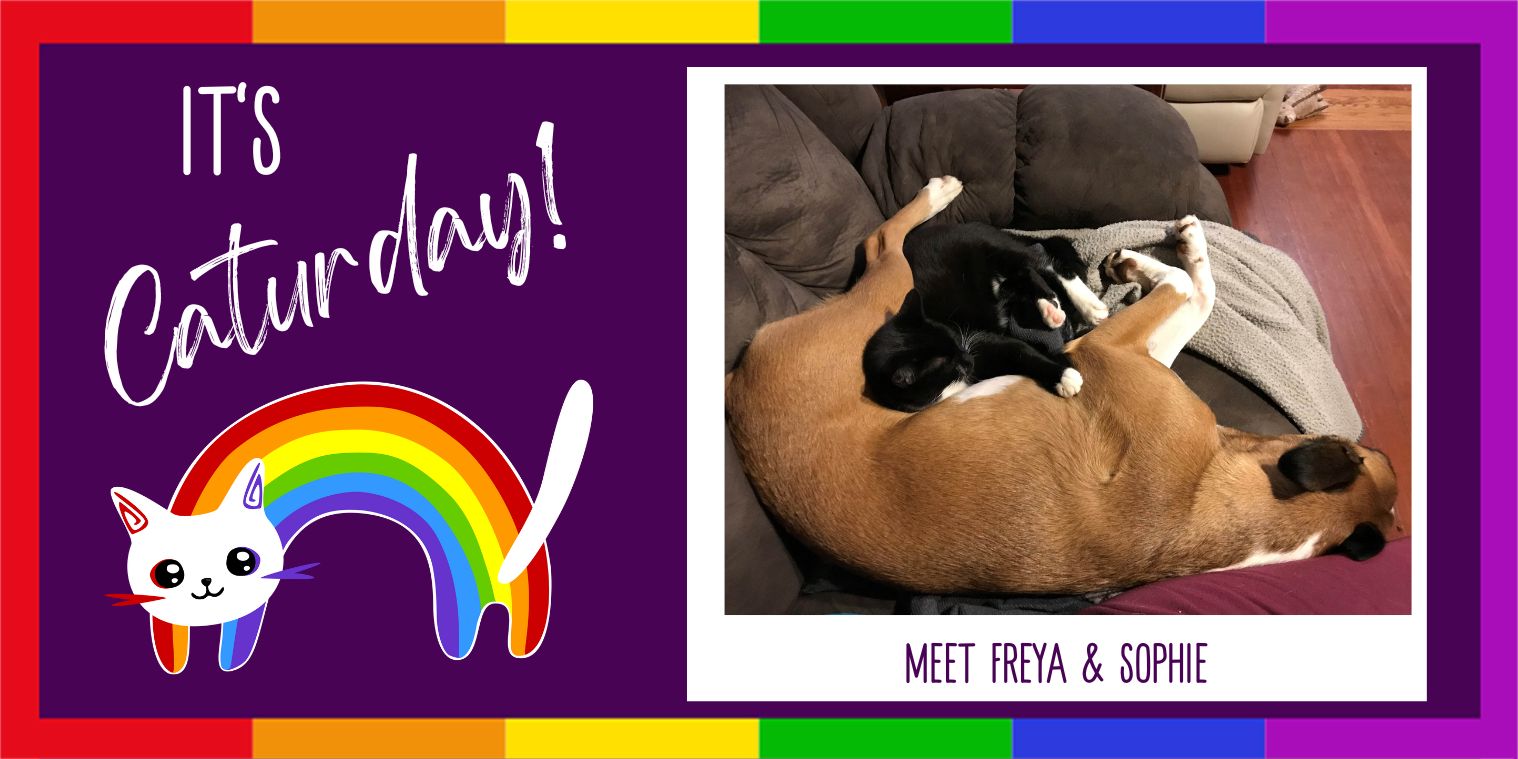 Meet Freya & Sophie cat and dog photo
