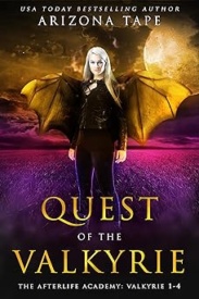 Cover of Quest Of The Valkyrie