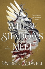 Cover of Where Shadows Meet