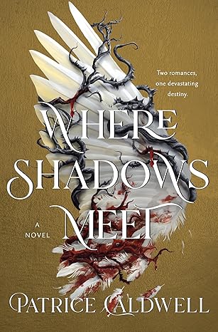 Cover of Where Shadows Meet
