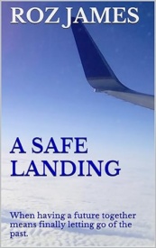 Cover of A Safe Landing
