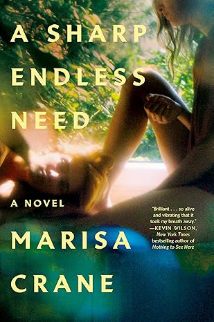 Cover of A Sharp Endless Need
