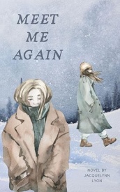 Cover of Meet Me Again