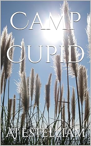 Cover of Camp Cupid