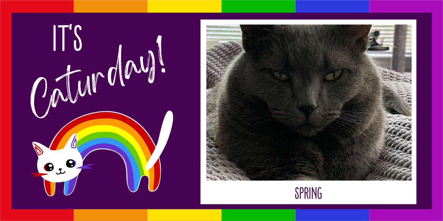 spring the cat photo