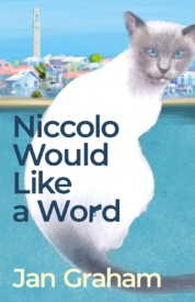 Cover of Niccolo Would Like a Word