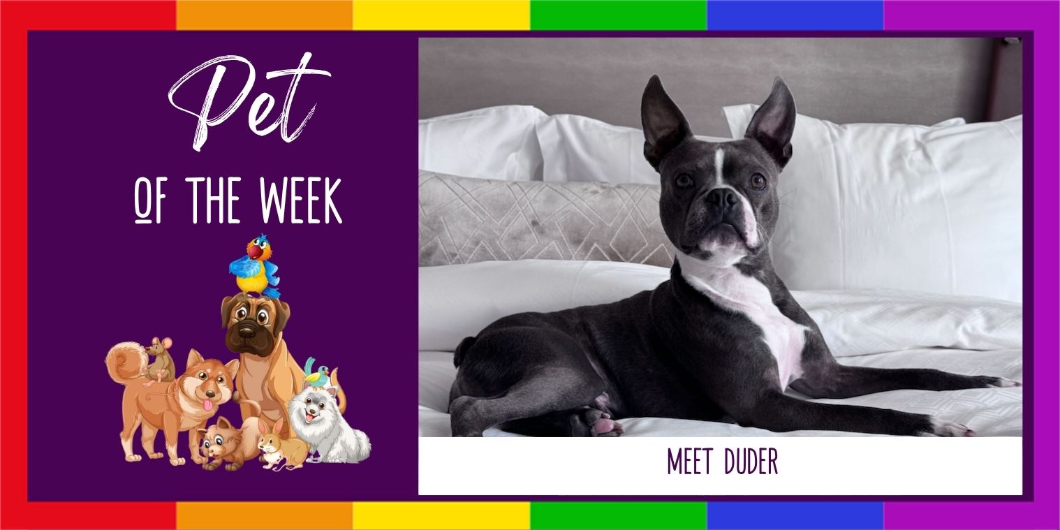 Meet Duder the dog