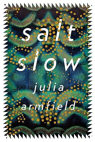 Cover of salt slow