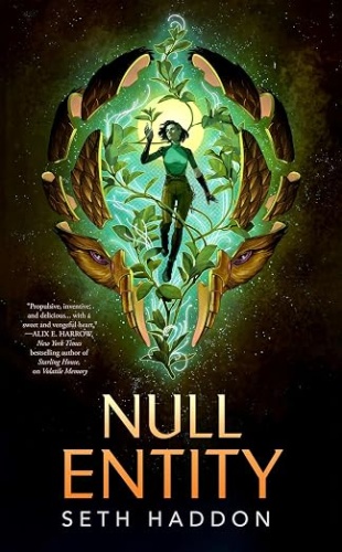 Cover of Null Entity